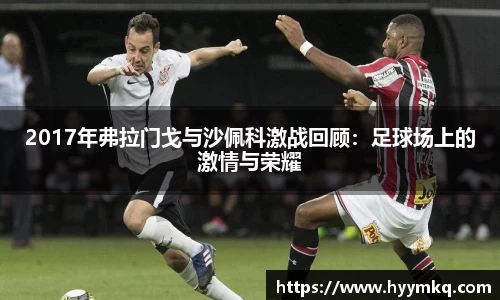 2017年弗拉门戈与沙佩科激战回顾：足球场上的激情与荣耀